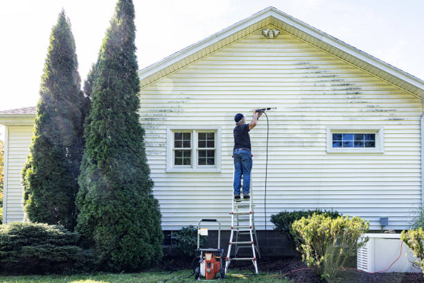 Professional Pressure Washing in Mesita, NM